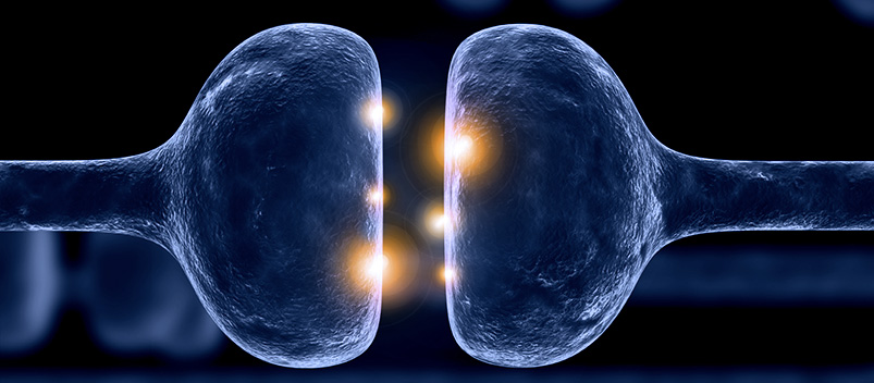 nerve-conduction-velocity-